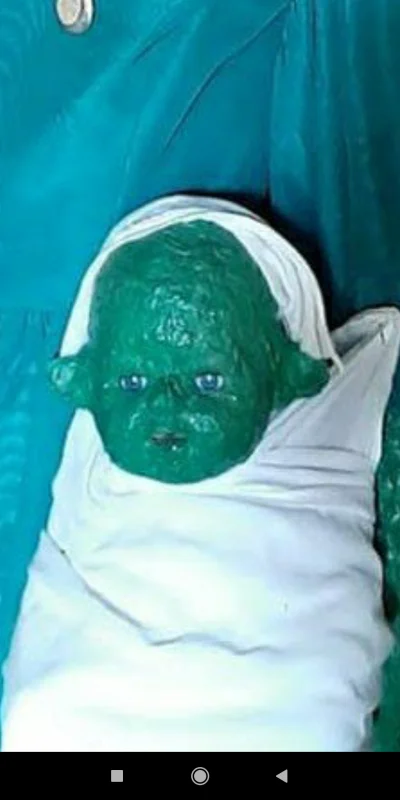 dzek - @UchodzcaZPolski: baby Yoda po tygodniu na podlasiu