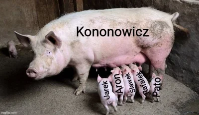 Login84 - Jop
#kononowicz