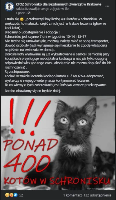 KromkaMistrz - Krakowskie schronisko jest przepełnione #koty - jeśli ktoś myśli o ado...