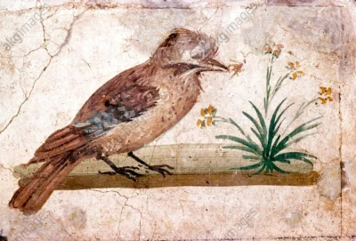 IMPERIUMROMANUM - Piękny rzymski fresk ukazujący ptaka

Piękny rzymski fresk naście...