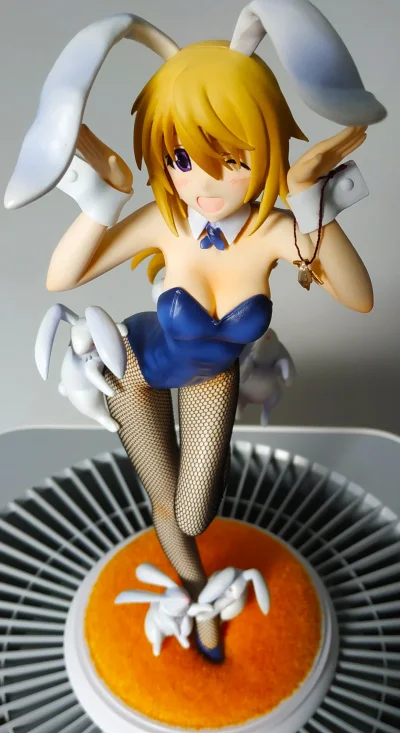 Krunhy - (｡◕‿‿◕｡)

#figurki #anime #randomanimeshit #infinitestratos #charlottedunois