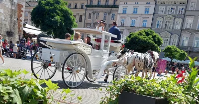 Max3nium - Siedzę sobie w ogrodku lokalu na krakowskim rynku i zawsze to samo.
Najpi...