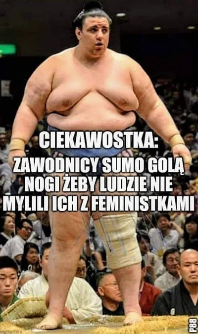 D.....a - #heheszki #feminizm #sumo