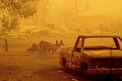 Kozajsza - Nowy raport IPCC: Jest źle. Ludzkość jednoznacznie odpowiedzialna za zmian...