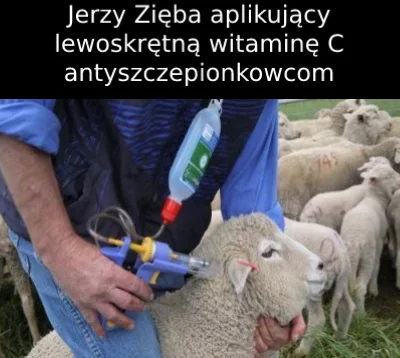 LazyInitializationException - Jakiś głupi ten sędzia, skoro chce murzynowi trucionke ...