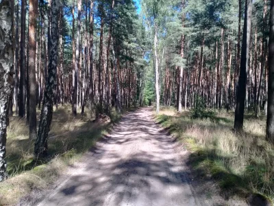 kapitantaca - Warunki na szosę idealne ¯\\(ツ)\/¯