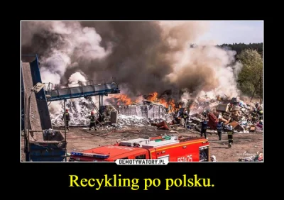 Wikariusz - wybuch po polsku 
#friz