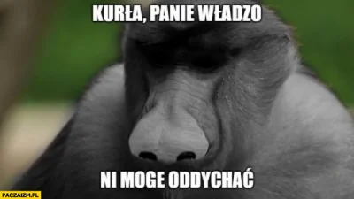 Benize - Ten mem się źle zestarzał( ͡° ʖ̯ ͡°)
#policja #nosacz #memy #lubin