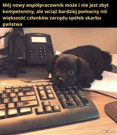 Gizmo_Clan - #polska #pis #humorobrazkowy