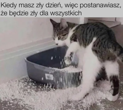 mauakrewetka - ¯\\(ツ)\_/¯

#koty #humorobrazkowy #heheszki #koteczkizprzypadku #zwier...