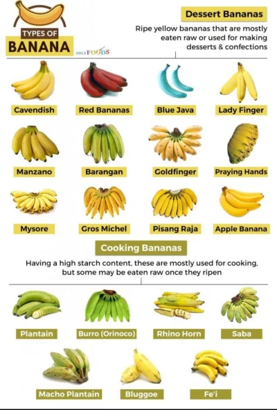 cheeseandonion - #coolguides #banany