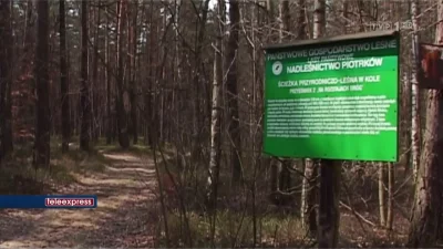 ultrasonic - Brakuje fikoła dekady o lasach:

i bezstronny materiał przed wyborami ...