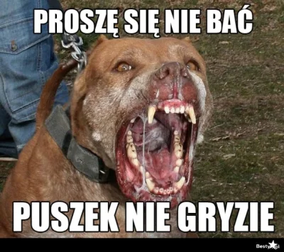 Blaskun - @Bad_Sector: Puszek nie gryzie. On tylko się bawi ( ͡° ͜ʖ ͡°)