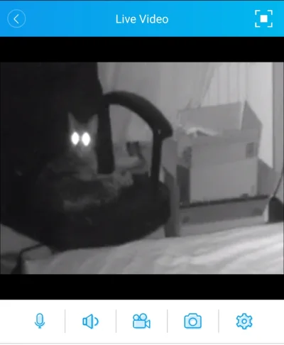 obieq - Podglądam kota na kamerce. To jest jednak demon
#nocnazmiana #koty #smieszne...