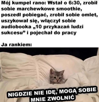 Lapidarny - #smiesznekotki #smiesznypiesek #humorobrazkowy #pracbaza