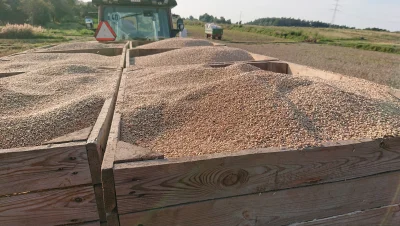 rolnik_wykopowy - Ehhh, zamiast łoić browara w cieniu przy niedzieli, to trzeba robić...