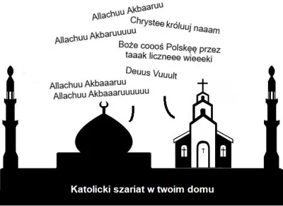 spere - #afganistan #polska 

Przypominam, że polscy tradycyjni fundamentaliści pra...