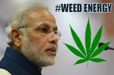 endo1 - #weedenergy