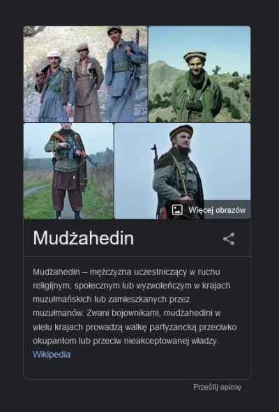 Shuin - @dylon: Oto co zwraca Wujek Google po wpisaniu hasła "mudżahedin" ( ͡° ͜ʖ ͡°)