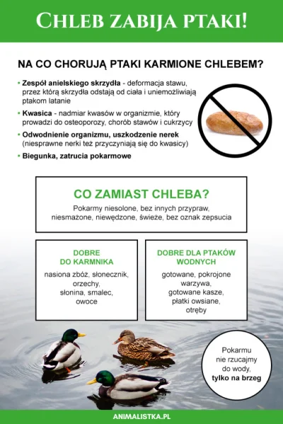 Naturmensch - @AntonioFacaldo: śmiechłem łap plusika
Btw postuje infografike o karmi...