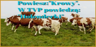 CipakKrulRzycia - #tvpis #holandia #krowa #heheszki 
#tvn