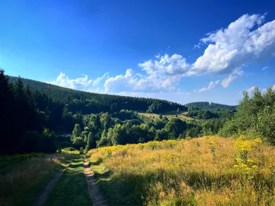 Zabojcza_Rozowa - Sobota, 30 stopni, spacerek po górkach a w tle słychać odgłosy łąki...