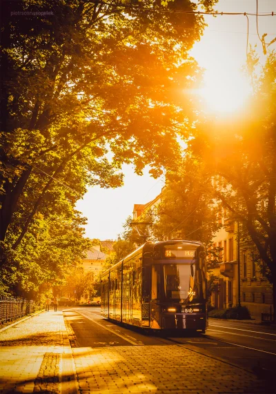 mrsopelek - Takie sobie dodam.

#krakow #fotografia #tramwaje #tramwajeboners #komu...