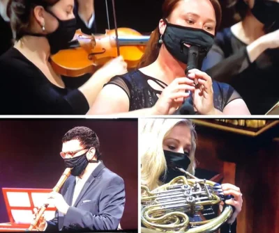 jednorazowka - https://en.operaplus.cz/why-the-zippered-facemask-for-wind-players-on-...