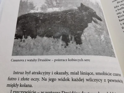 Dominiko_ - Typowa w1lczyca - za czarnym f00terkiem gotowa wskoczyć w ogień. It's ove...