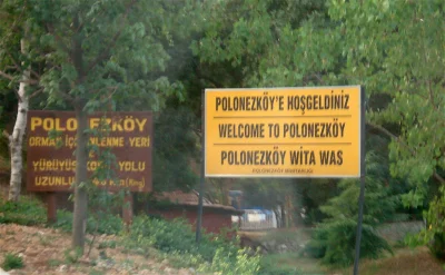 tty0 - there is actually a polish village in istanbul lol
#polonezkoy