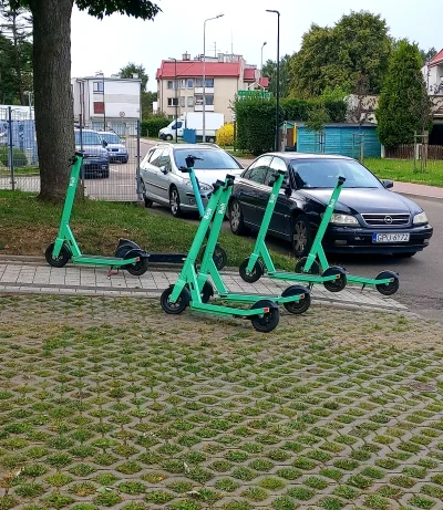 Qontrol - A to cwaniaki. Przez 4 dni jak tu jestem, nie było ani jedne #hulajnogaelek...