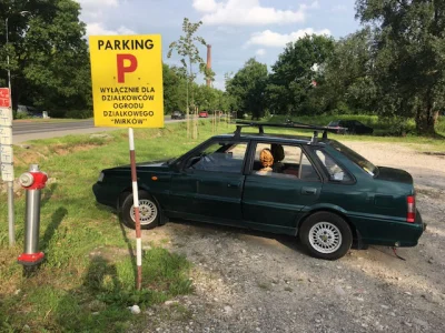 K.....1 - Parking wyłącznie dla Mirków!
#mirko #mirkoblog