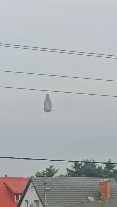 Liesbaum - Chyba to już alkoholizm bo widzę latające piwo
#torun