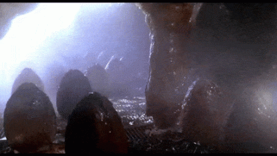 Zales360 - @CzerwonyjakWIG20: #heheszki