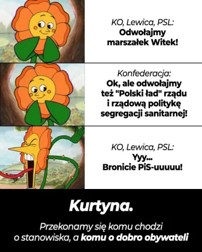 PoIand - #polityka #bekazlewactwa #konfederacja #neuropa #bekazpisu