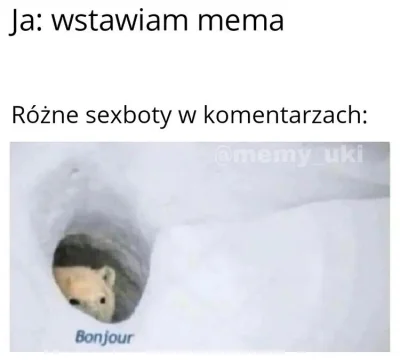 BestiazWadowic2137 - #heheszki #humorobrazkowy #seks #memy