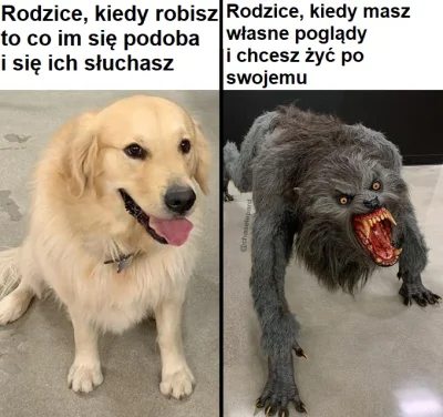 k.....o - Rodzice w Polsce tacy są
#antynatalizm #childfree #humorobrazkowy