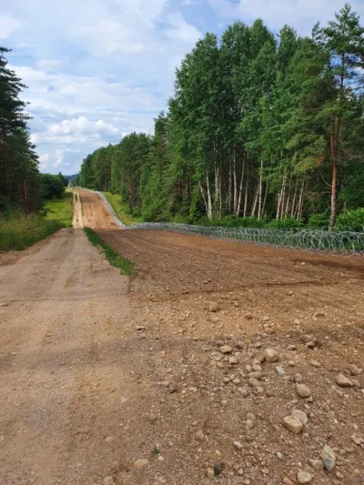 lukasz-vall - Pierwsza myśl to taka że dla leśnej zwierzyny to bariera w migracji. Al...