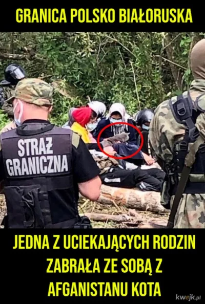 A.....3 - Nawiązując do kota i całej sytuacji na granicy, nasuwa się jedno stwierdzen...