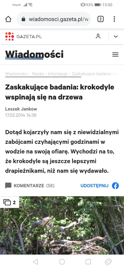 Mandy90 - @unikalny3: dzięki Za linka o krokodylach xD już myślałam, że będą pelikany...