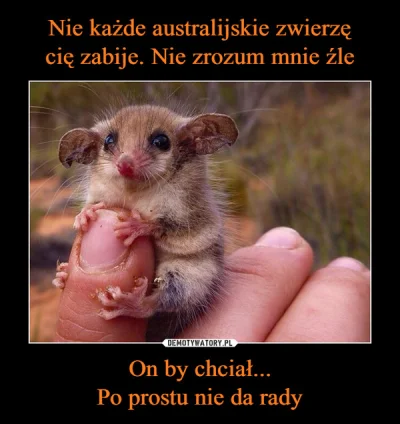 t.....t - @eloar: pasuje mem, co prawda z Australii ale przekaz niezmienny ;)