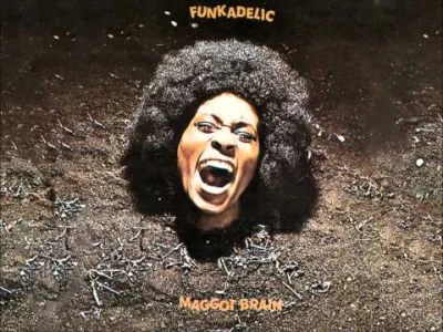 wielkienieba - #muzyka #rock #Funkadelic #MaggotBrain #narkotykizawszespoko 

Funka...