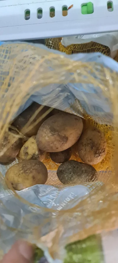 Nwojtek - @Misskiedis nie ma tam cebuli, tylko stare ziemniaki