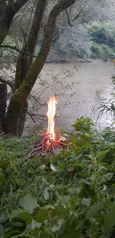 t.....0 - No elo,
 nad białą, rozpalam ognisko, a co? 
#tarnow #ognisko #bushcraft