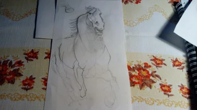 PorzeczkowySok - próbowałem kiedyś konia narysować, wyszło słabo, ale chociaż próbowa...