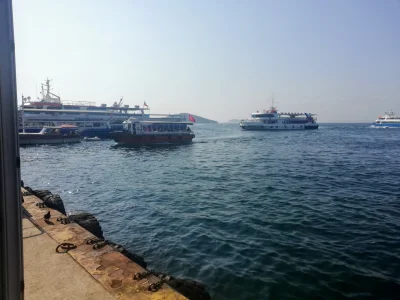 tty0 - ferries are approaching the dock of büyükada. some polish tourists are waiting...