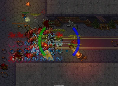 Prespekt - Po prawie 6 miesiącach bitwy. Jest i on. 
#tibia