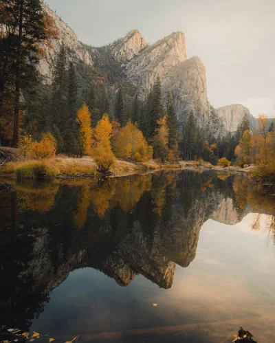 wariat_zwariowany - Wspaniała jesień (ʘ‿ʘ)
Yosemite, USA
autor
#fotografia #estety...