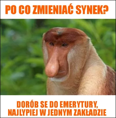 Przegrywex - #heheszki #przegryw #nosaczsundajski #memy #malpapolak