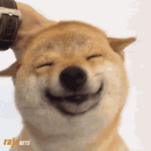 urwis69 - 37/1oo dni i DOGE to the moon!

#doge #dogecoin #kryptowaluty
Tag do obserw...